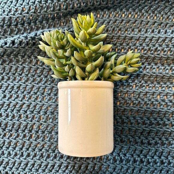 Threshold Artificial Greenery Tabletop Arrangement - Picture 2 of 7